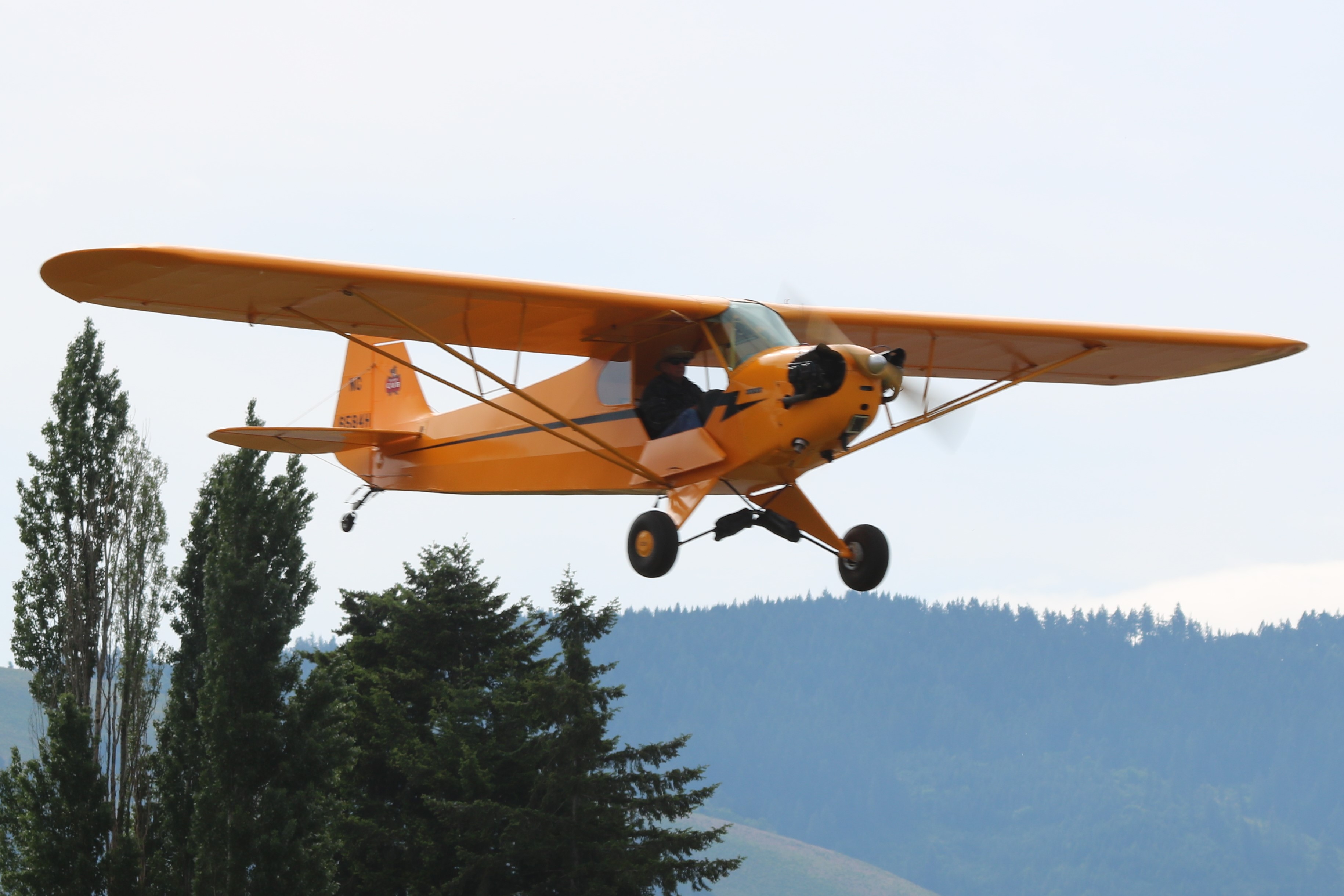 Piper Raffle 1946 Piper J3C-65 “Cub” Raffle Fundraiser for WAAAM | Raffle Creator