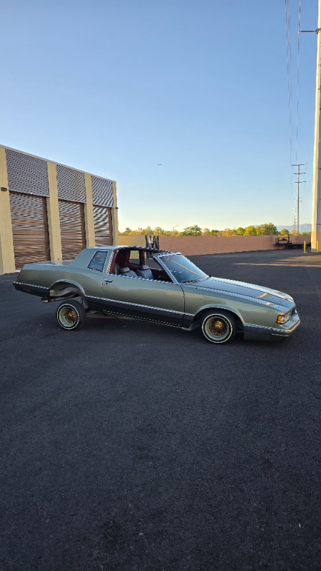 Car Raffles Alberta King Car Raffles X | Raffle Creator