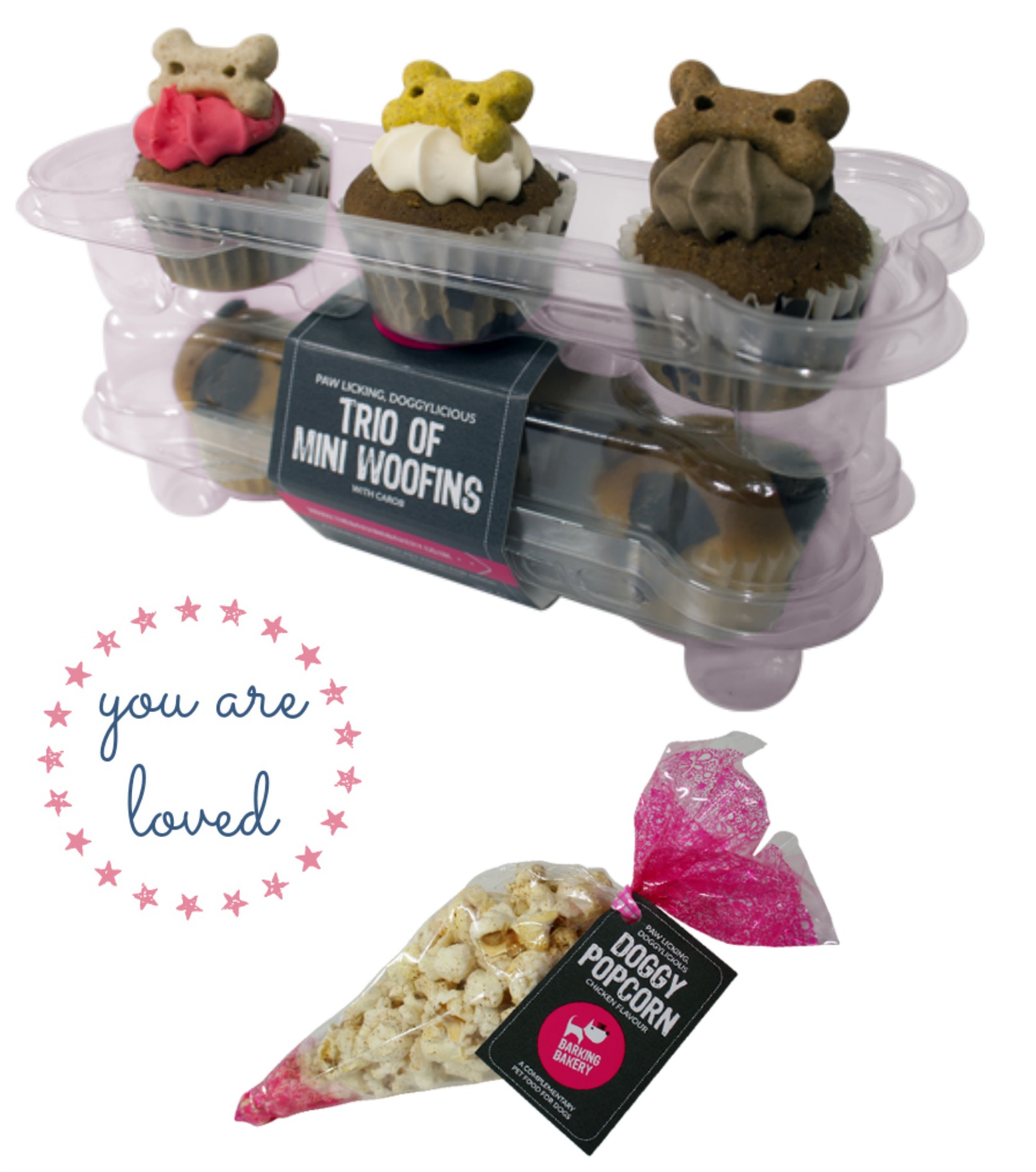 Pop Up Pug Pub Fundraiser | Raffle Creator