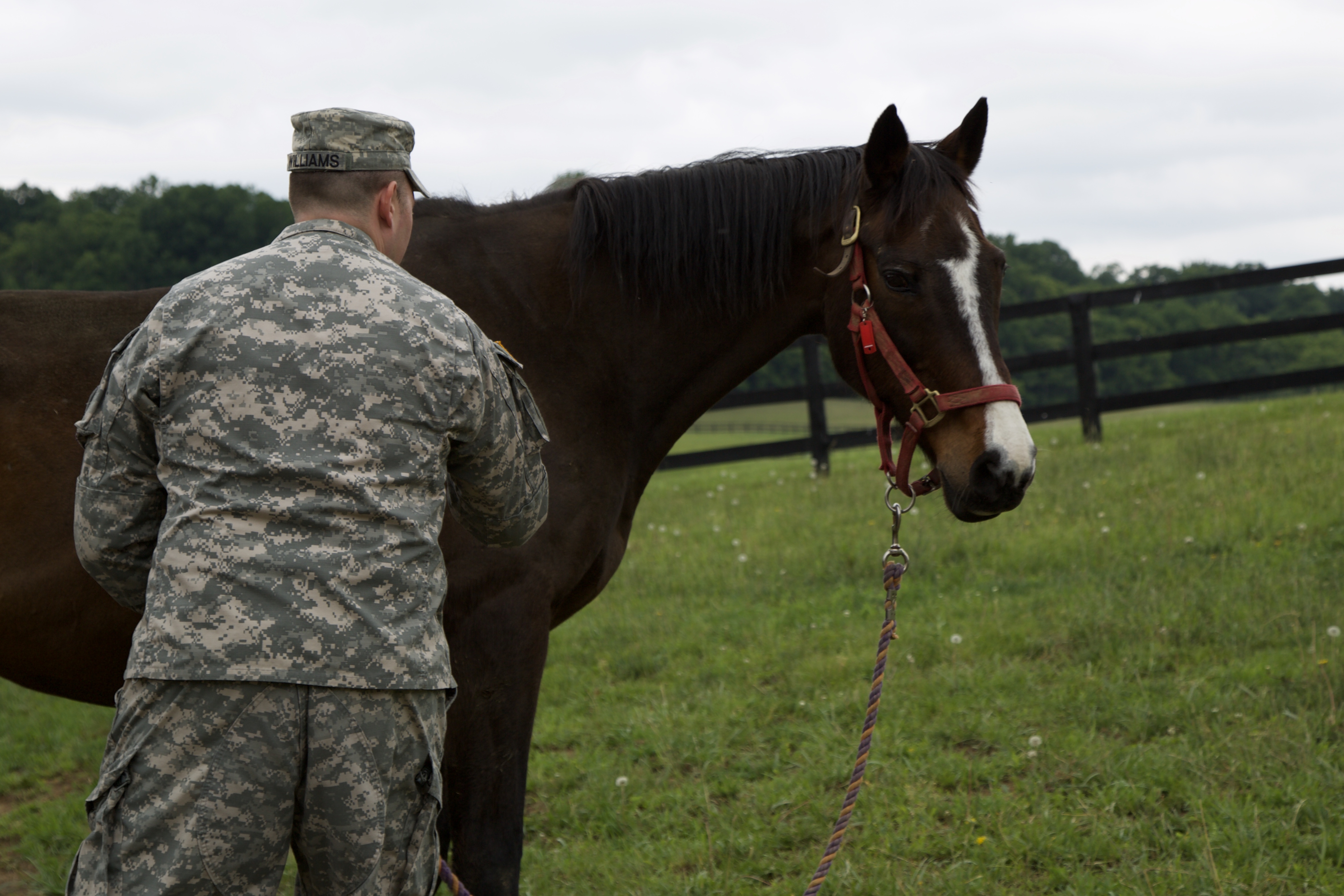 Project Horse 2019 Fundraiser COOKING & DINING EXPERIENCE Raffle Creator