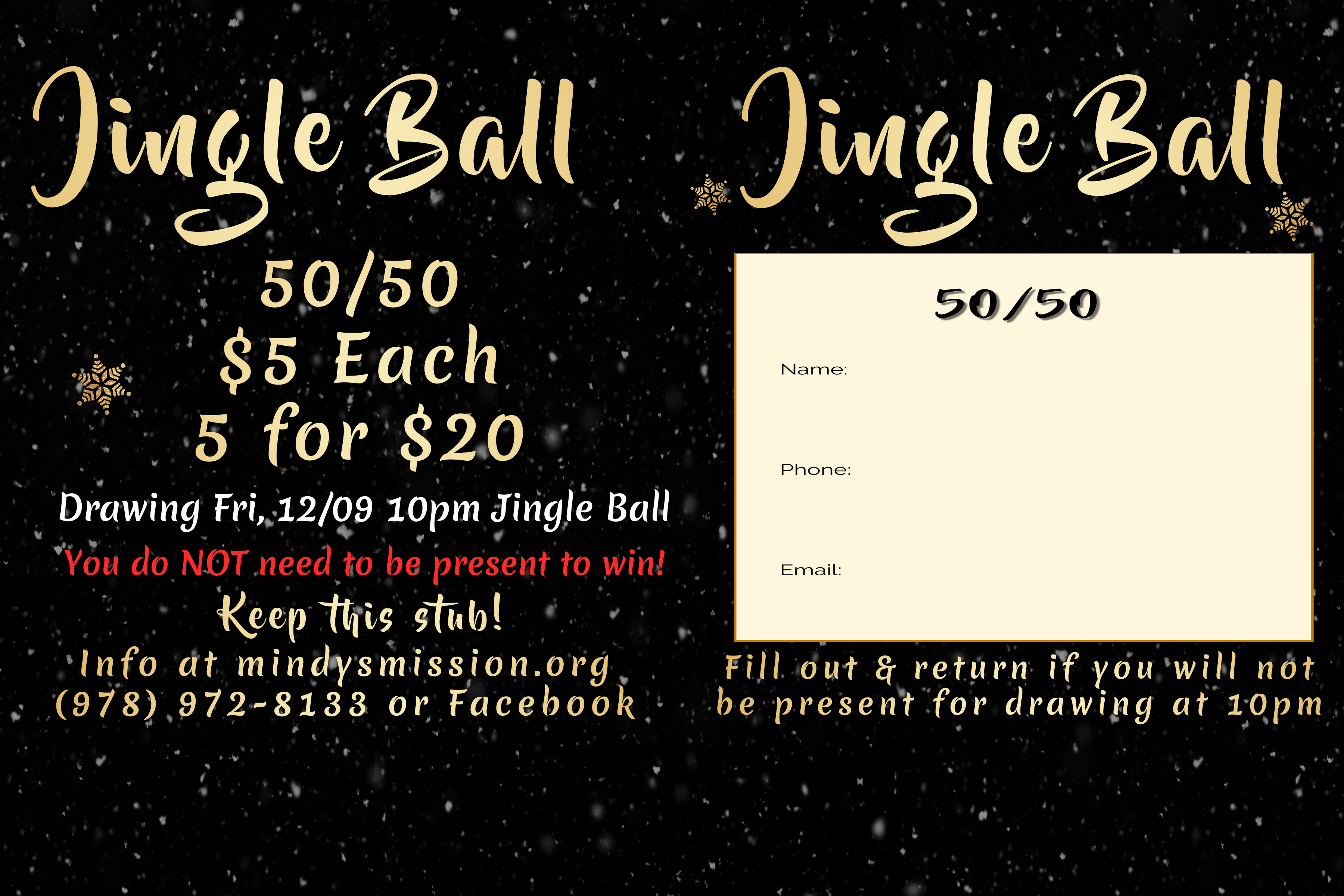 Money Raffle Ball Jingle Ball Raffle 50/50 | Raffle Creator