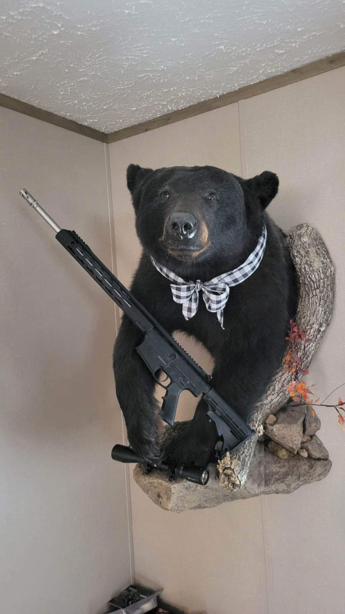 Bear Creek 308 AR 10 Raffle Creator