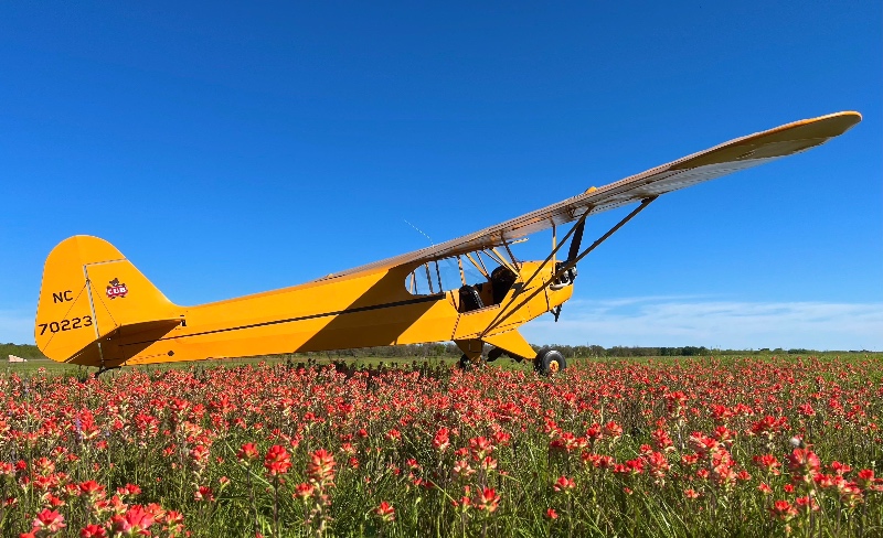 Piper Raffle Piper Cub Raffle | Raffle Creator