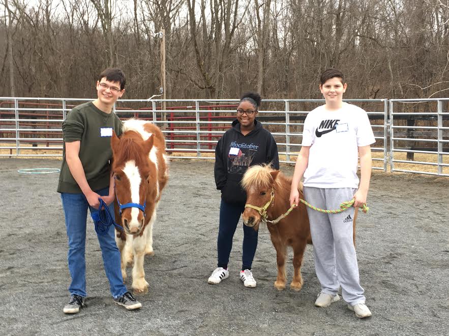 Project Horse 2019 Fundraiser DINNER & A MOVIE Raffle Creator