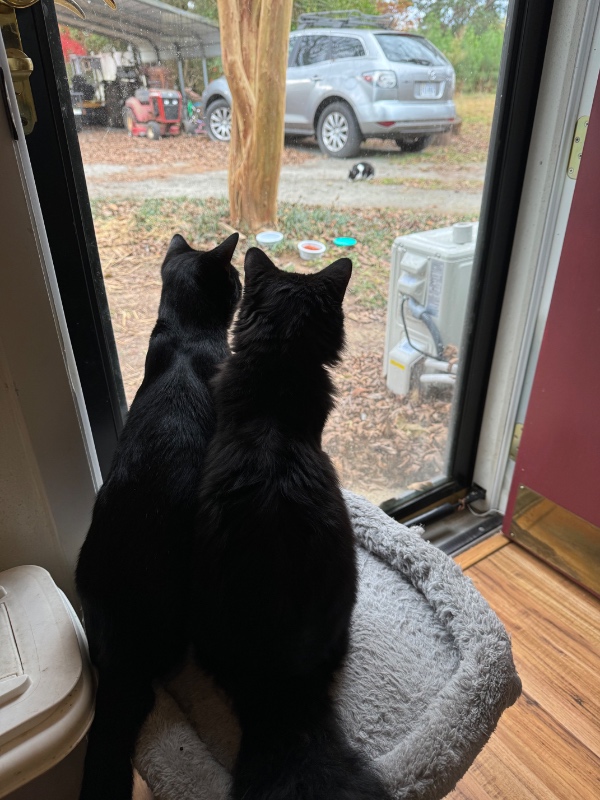 Scratch Pad Fundraiser | Raffle Creator